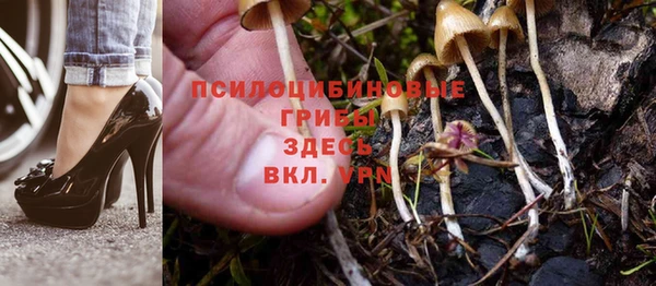 ПСИЛОЦИБИНОВЫЕ ГРИБЫ Армянск